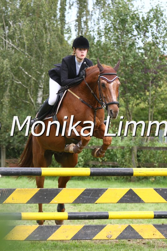 109M0141_Leantos_Stil L.JPG